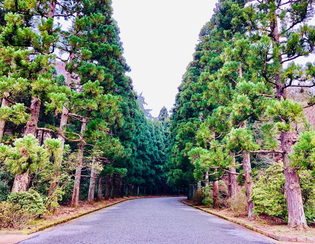 f:id:hiroking1:20181223231353j:plain f:id:hiroking1:20181223231353j:plain