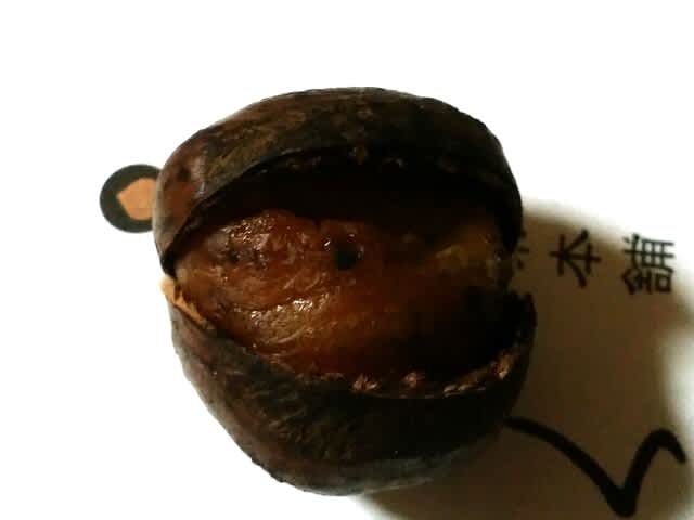 おくり 栗 圧力式焼栗本舗 簡単 感動 - お山へ行こう！