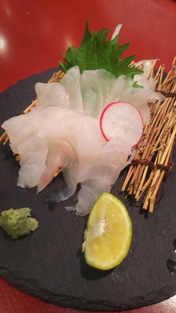 12 12日 アオハタ刺身 薄らハゲの飲み呑み報告