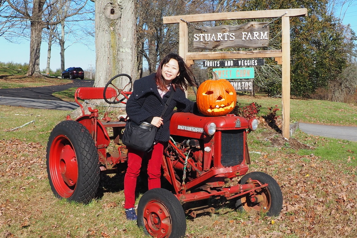 f:id:hiroko_ny:20191107053303j:plain