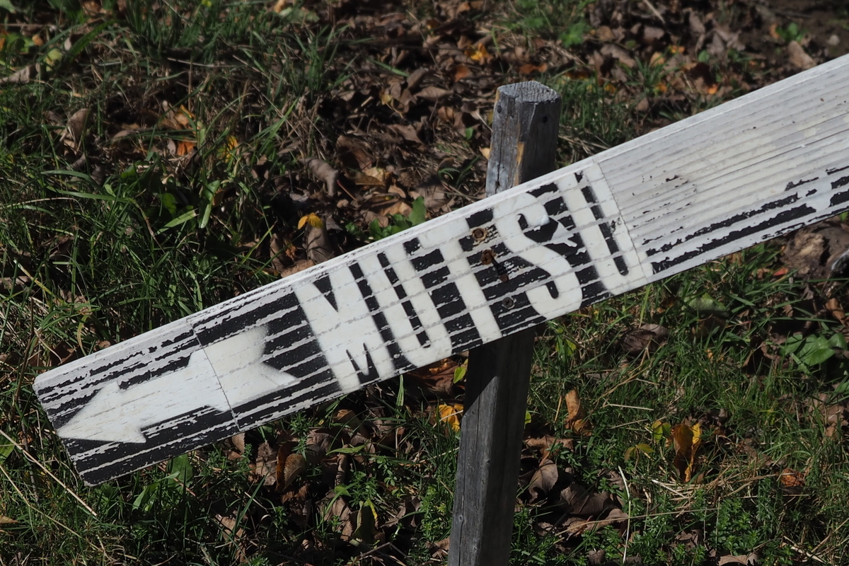 f:id:hiroko_ny:20191107053602j:plain