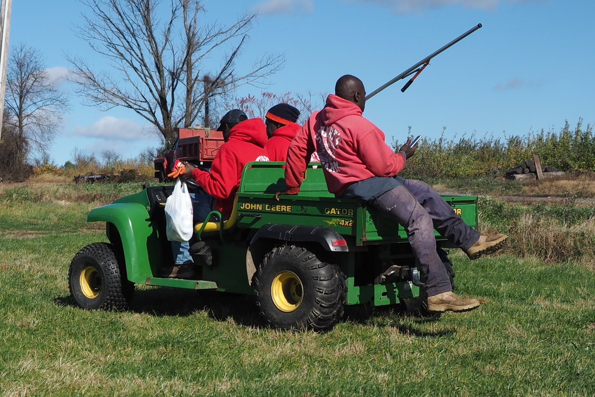 f:id:hiroko_ny:20191107054005j:plain