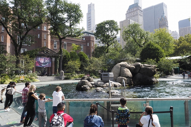 大都会の中の動物園、セントラルパーク動物園