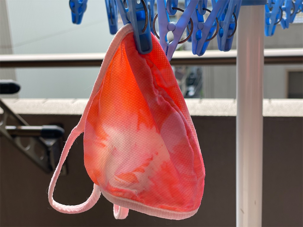 f:id:hiroko_ny:20201027202831j:image