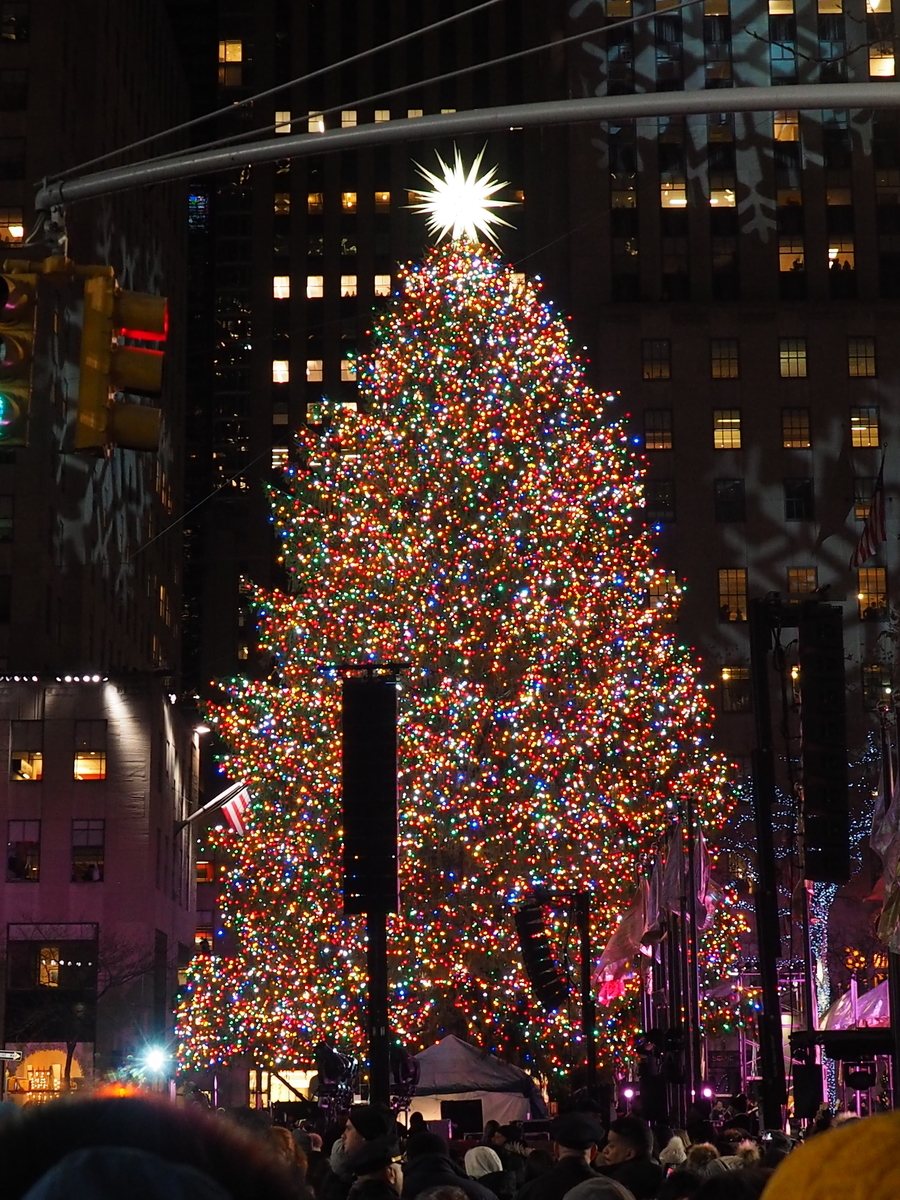 2018点灯後のツリー