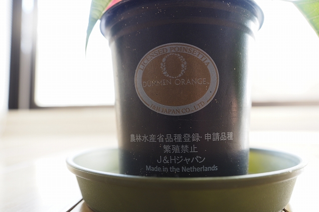 On the pot