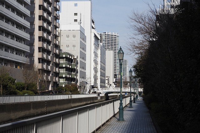 f:id:hiroko_ny:20210309193156j:plain