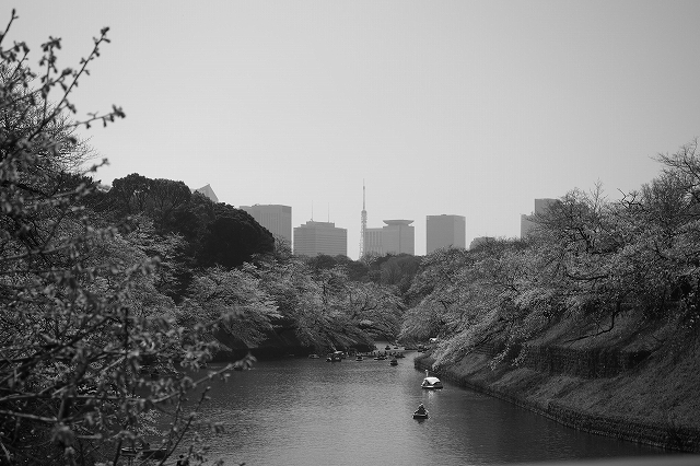 東京タワーの方を望む