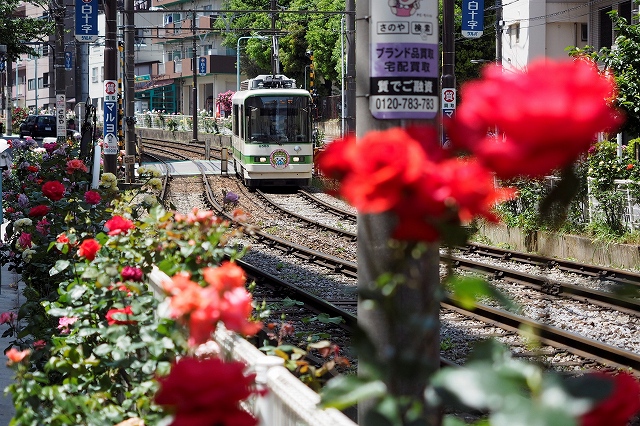 f:id:hiroko_ny:20210511201227j:plain