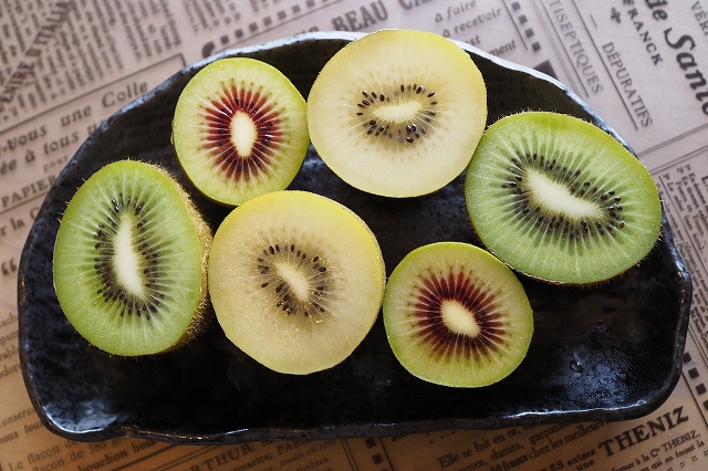 f:id:hiroko_ny:20210512192351j:plain