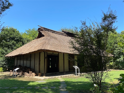 f:id:hiroko_ny:20210802104653j:image