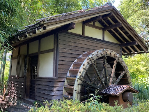 f:id:hiroko_ny:20210802111038j:image