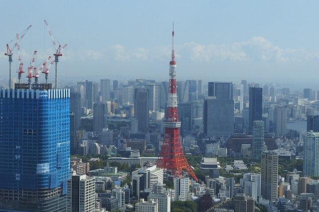 こんな感じで見えます。