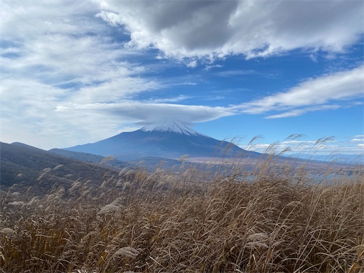 f:id:hiroko_ny:20211116204720j:image