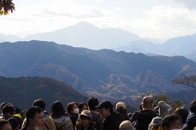 山頂からの風景