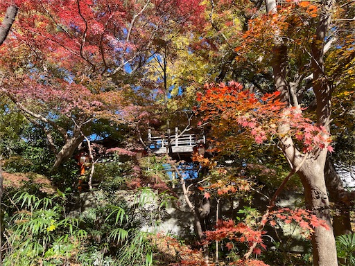 等々力不動尊を見上げたところ