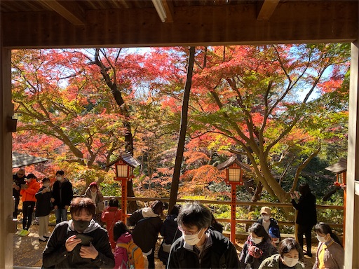 f:id:hiroko_ny:20211207112623j:plain