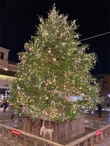 f:id:hiroko_ny:20211207114823j:image