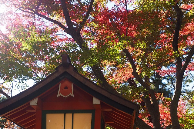 f:id:hiroko_ny:20211207192226j:plain