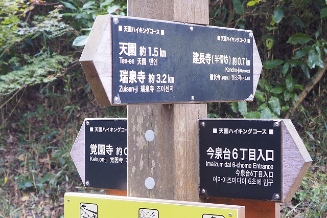 分岐点