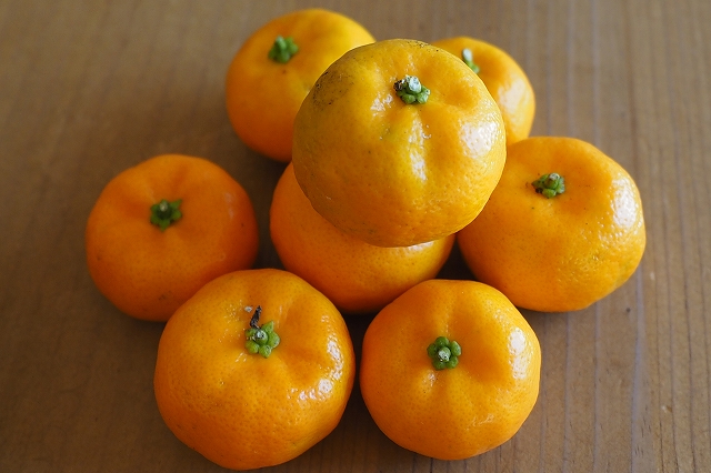 珍しい果物】生のシークヮーサーは美味しくて健康にも良いです