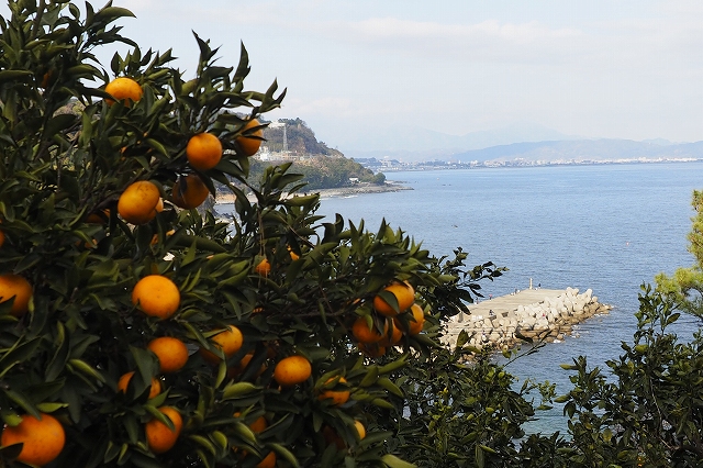 f:id:hiroko_ny:20220114231016j:plain