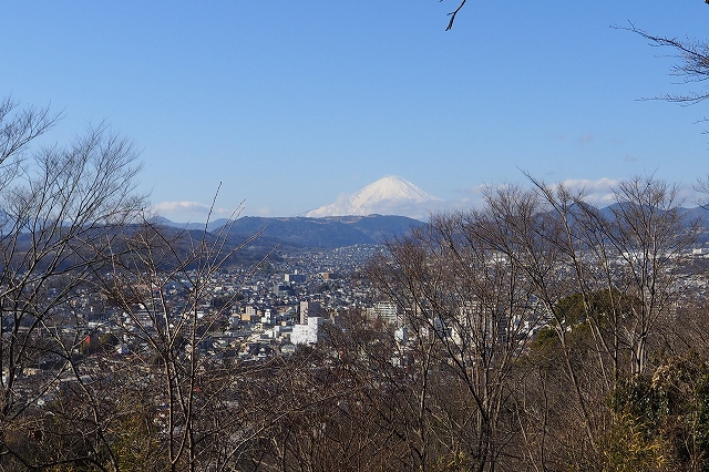f:id:hiroko_ny:20220131192219j:plain