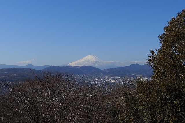 f:id:hiroko_ny:20220131192417j:plain