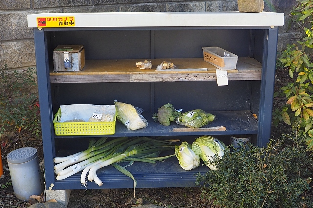 こういう無人の野菜販売所が好きです。