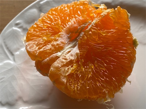 f:id:hiroko_ny:20220214234631j:image