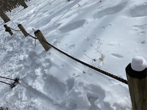 色んな所に雪で作ったアヒルがいて可愛い