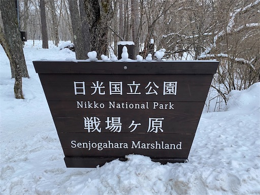 f:id:hiroko_ny:20220216234842j:image f:id:hiroko_ny:20220216234842j:image