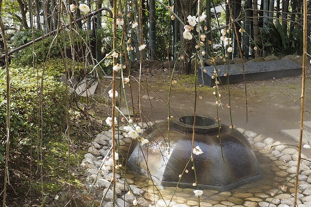 お湯が湧き出している所