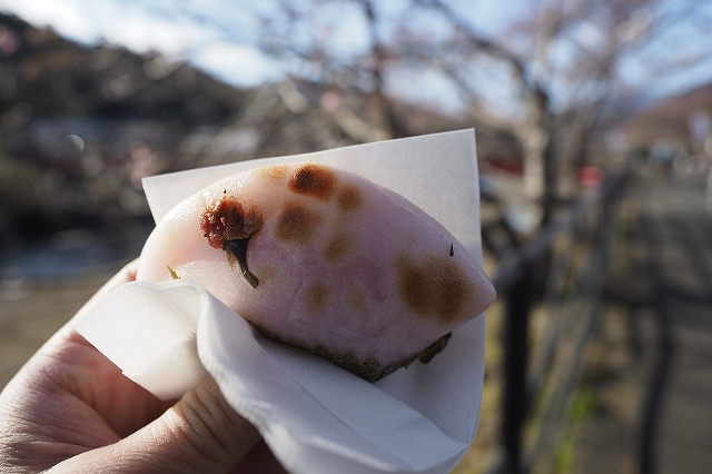沿道で買った、焼いた桜餅。熱々でさくら風味一杯で美味しかった！