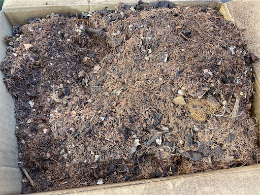 段ボールの中でコンポストと土を混ぜたモノ