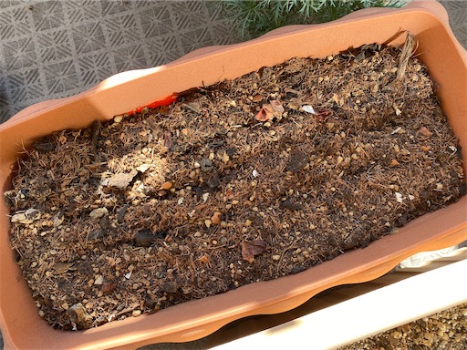 f:id:hiroko_ny:20220228220638j:plain