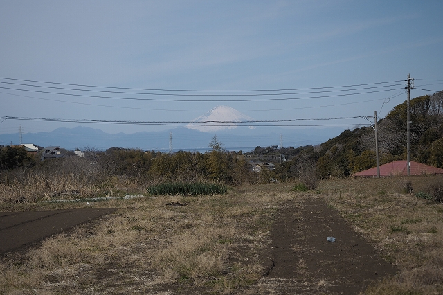 移動途中の畑から富士山が