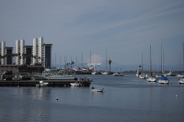 ここでも富士山