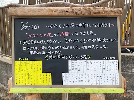 f:id:hiroko_ny:20220328182830j:image f:id:hiroko_ny:20220328182830j:image