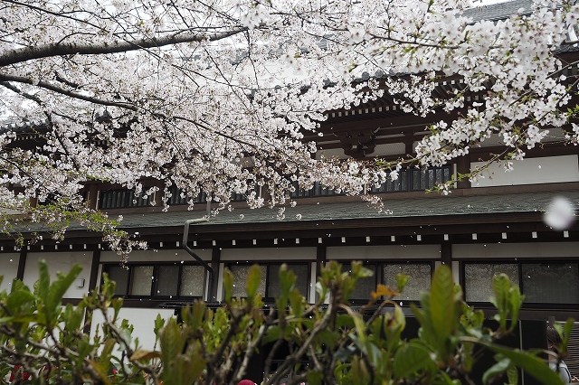 f:id:hiroko_ny:20220402000045j:plain