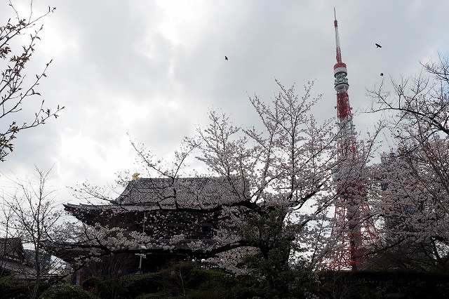 f:id:hiroko_ny:20220402000126j:plain