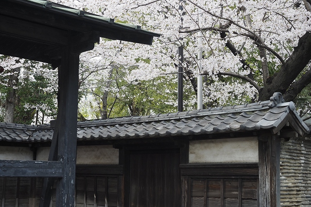 f:id:hiroko_ny:20220402000208j:plain
