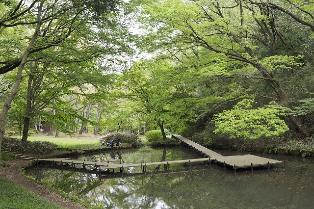 木道