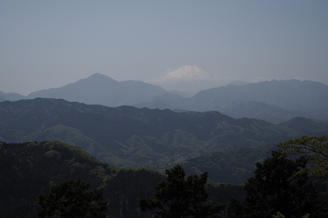 高尾山頂からは富士山が良く見えました