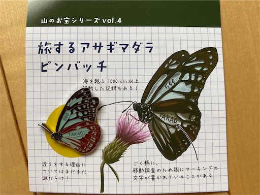 f:id:hiroko_ny:20220623133237j:image f:id:hiroko_ny:20220623133237j:image