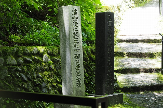今の天皇陛下も見に来られたんですね。