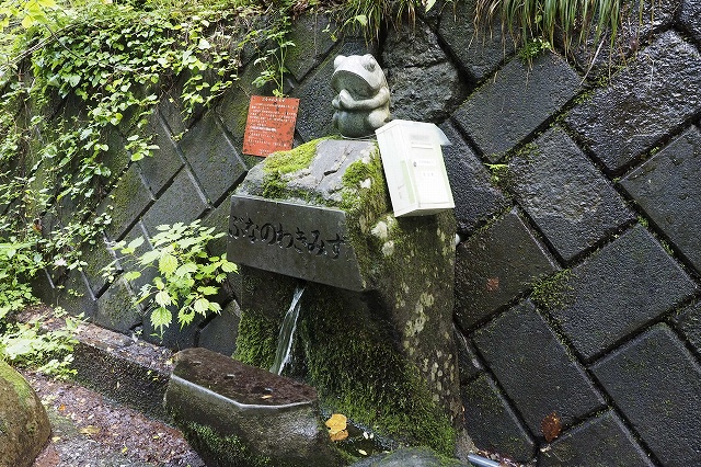 とても冷たく、飲むことができる水でした。