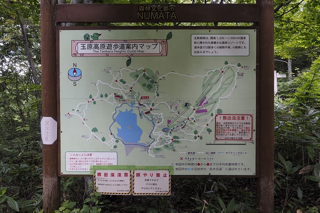 いたる所に「クマ出没注意」の文字がありました。