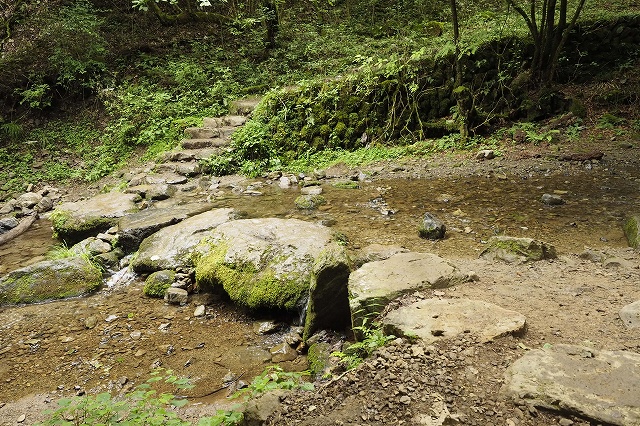 ロックガーデン　苔むしていてマイナスイオンたっぷりです。