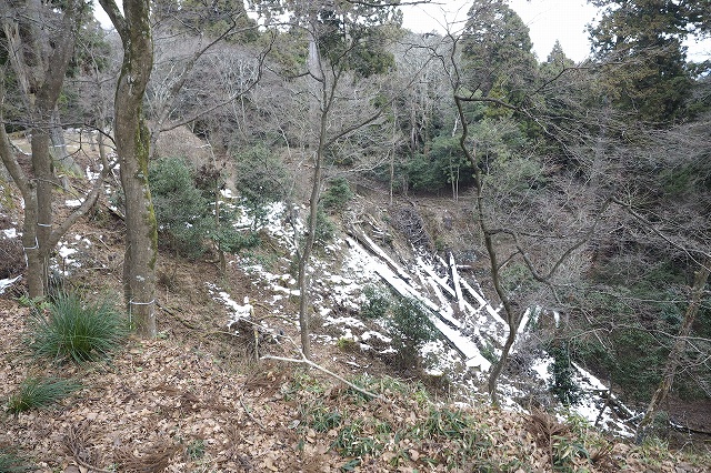 雪が残っていました
